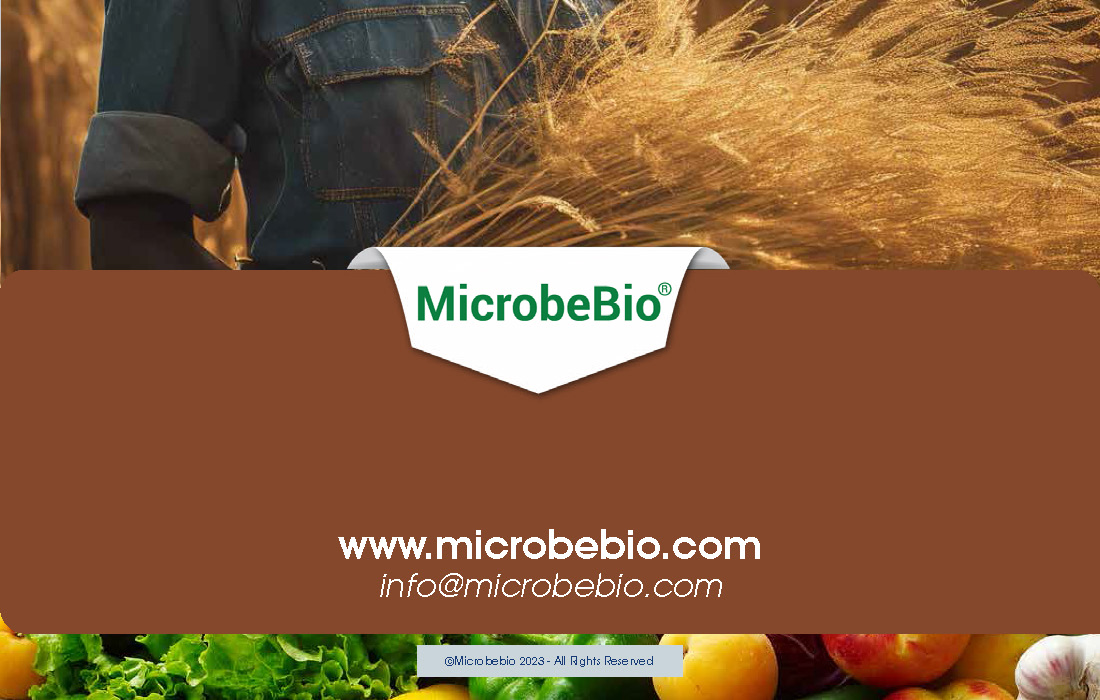 Revolutionizing Agriculture and Forestry in Zambia with Rice_Page_13