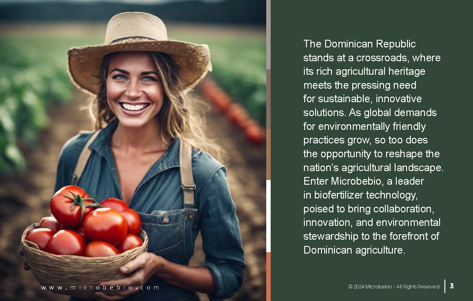 Revolutionizing Agriculture in the Dominican Republic_Page_03