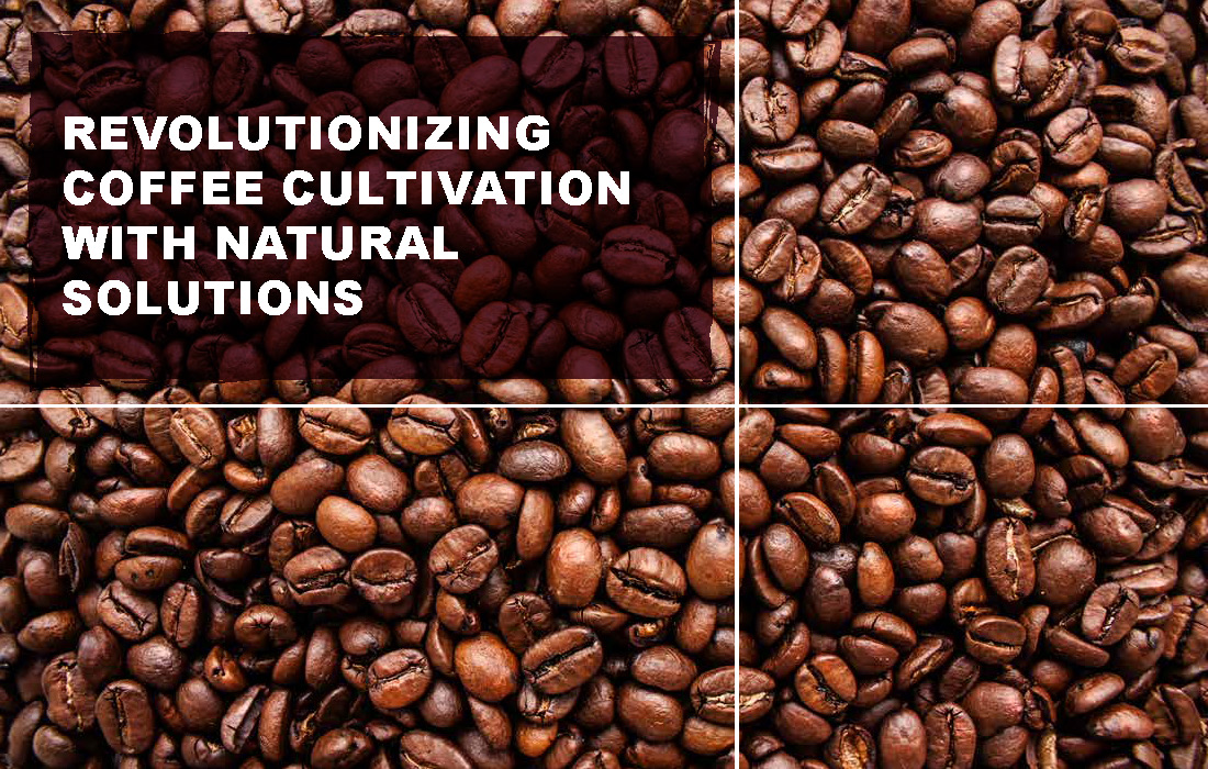 Revolutionizing Coffee Cultivation with Natural Solutions_Page_02