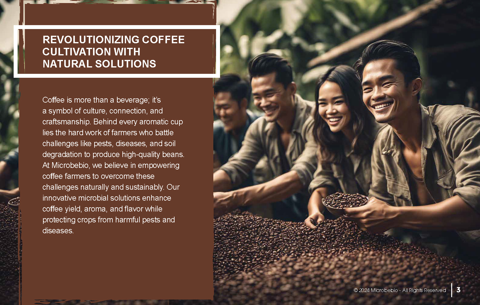 Revolutionizing Coffee Cultivation with Natural Solutions_Page_03