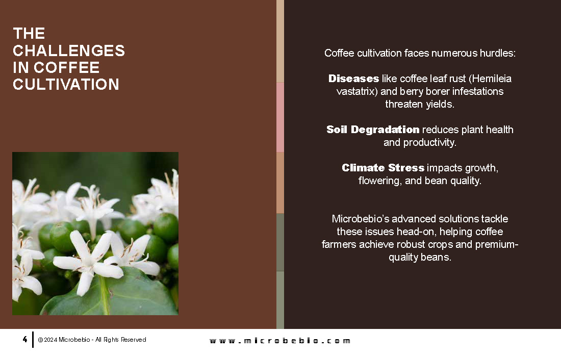 Revolutionizing Coffee Cultivation with Natural Solutions_Page_04