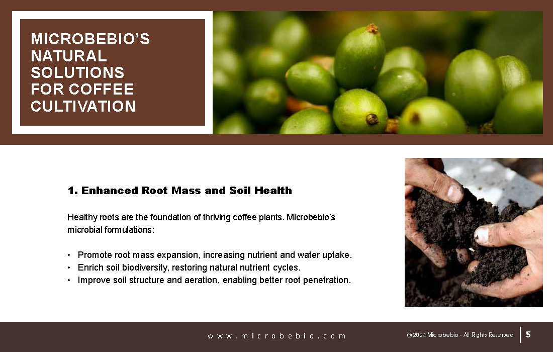 Revolutionizing Coffee Cultivation with Natural Solutions_Page_05