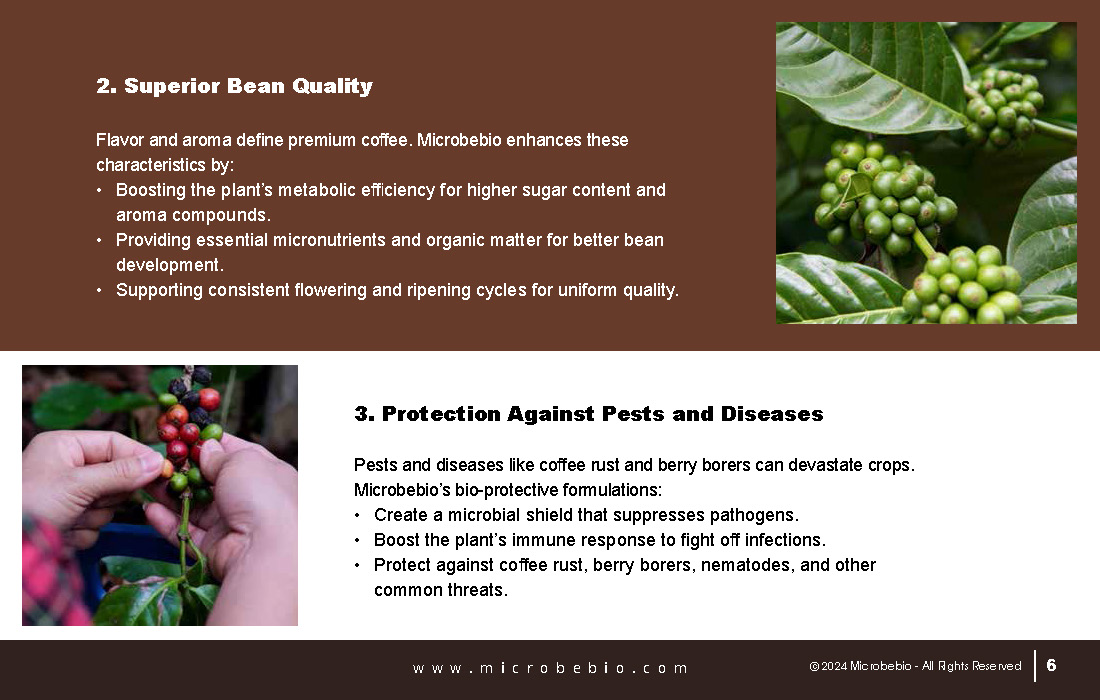 Revolutionizing Coffee Cultivation with Natural Solutions_Page_06
