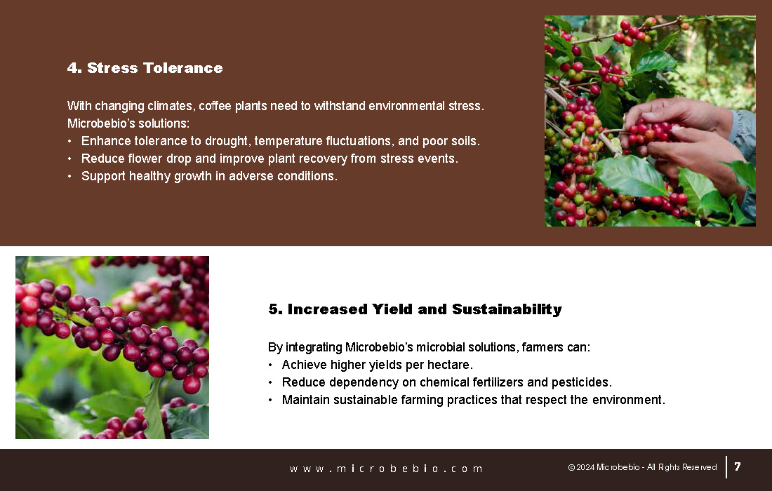 Revolutionizing Coffee Cultivation with Natural Solutions_Page_07