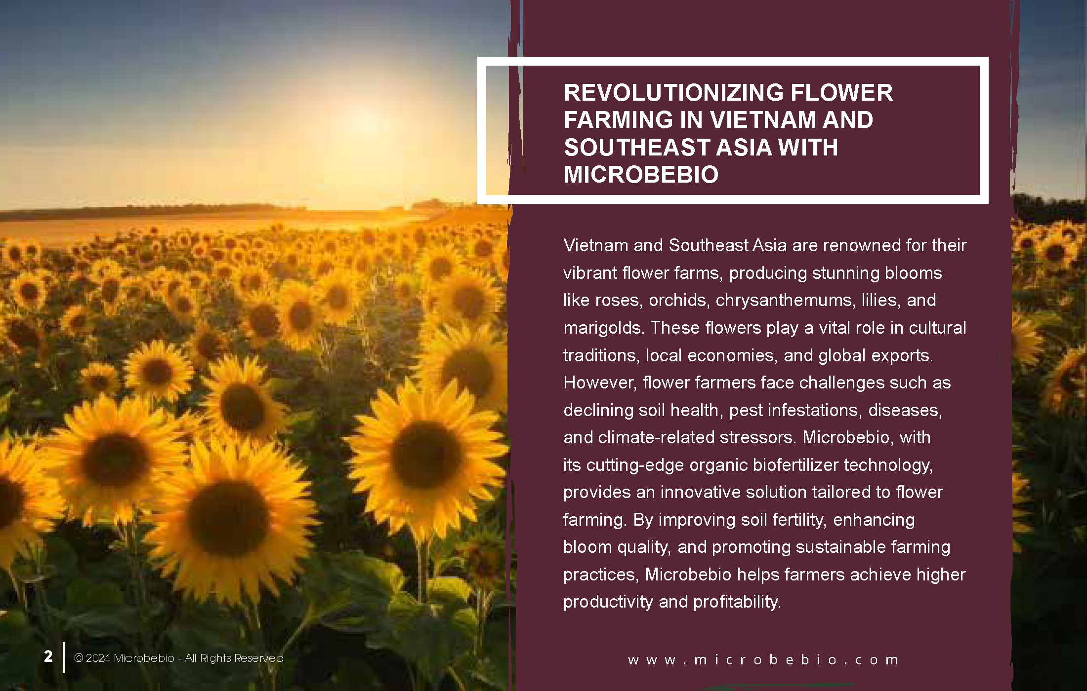Revolutionizing Flower Farming in Vietnam and Southeast Asia with Microbebio_Page_2