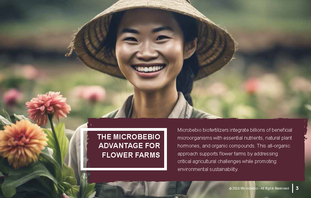 Revolutionizing Flower Farming in Vietnam and Southeast Asia with Microbebio_Page_3