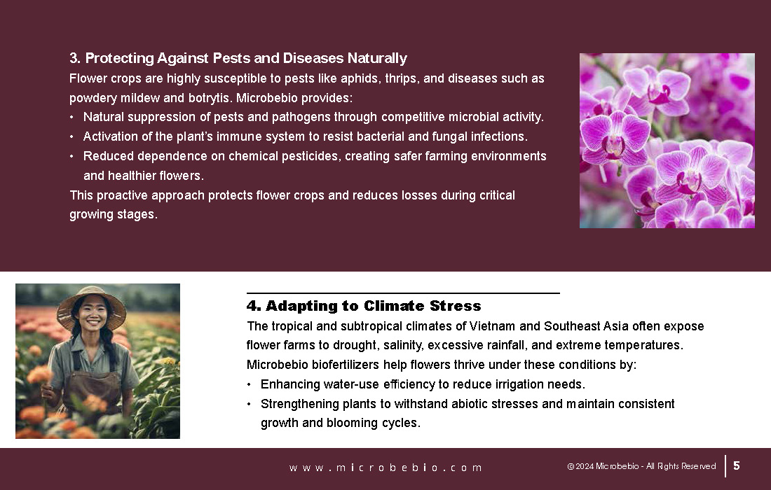 Revolutionizing Flower Farming in Vietnam and Southeast Asia with Microbebio_Page_5