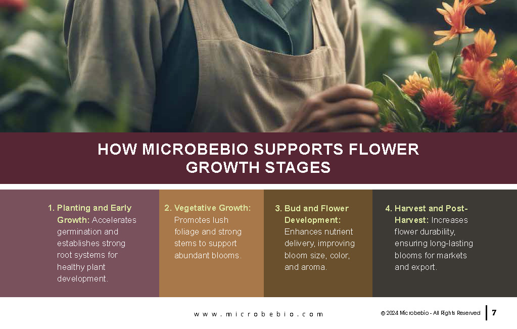 Revolutionizing Flower Farming in Vietnam and Southeast Asia with Microbebio_Page_7