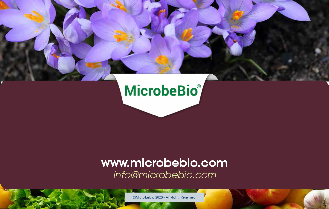 Revolutionizing Flower Farming in Vietnam and Southeast Asia with Microbebio_Page_9