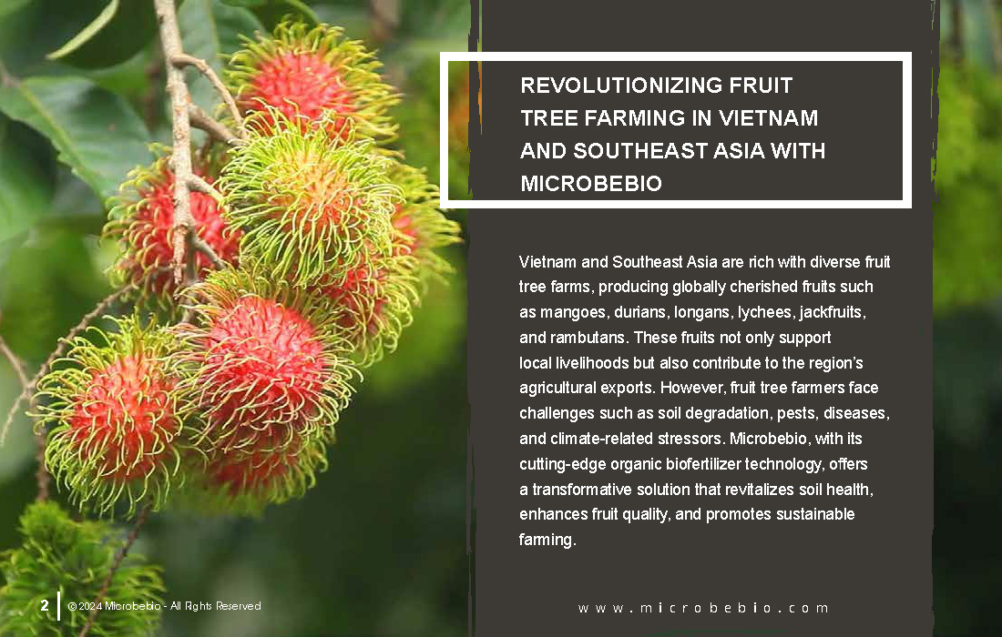 Revolutionizing Fruit Tree Farming in Vietnam and Southeast Asia with Microbebio_Page_2