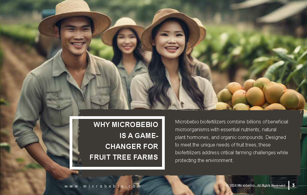 Revolutionizing Fruit Tree Farming in Vietnam and Southeast Asia with Microbebio_Page_3