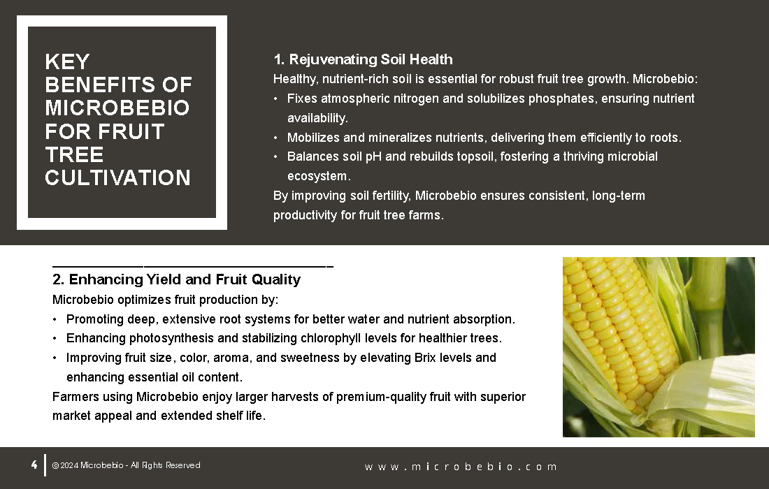 Revolutionizing Fruit Tree Farming in Vietnam and Southeast Asia with Microbebio_Page_4