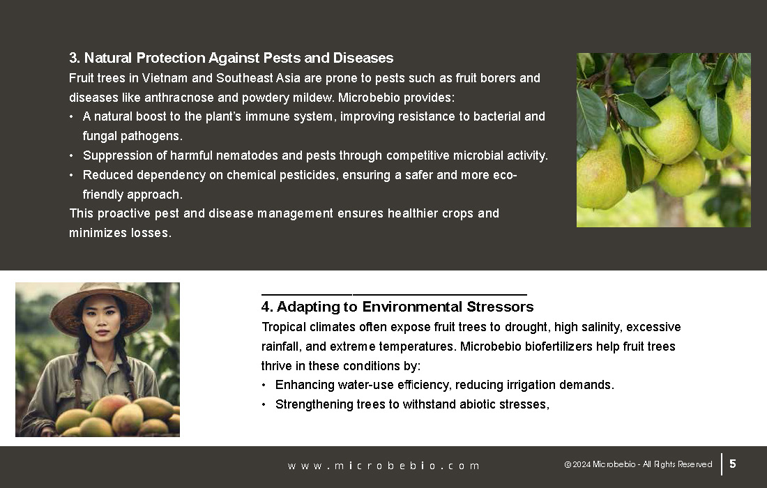 Revolutionizing Fruit Tree Farming in Vietnam and Southeast Asia with Microbebio_Page_5