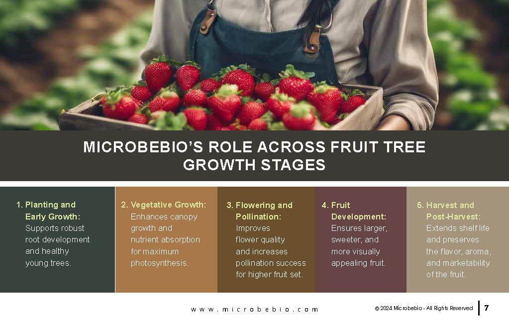 Revolutionizing Fruit Tree Farming in Vietnam and Southeast Asia with Microbebio_Page_7
