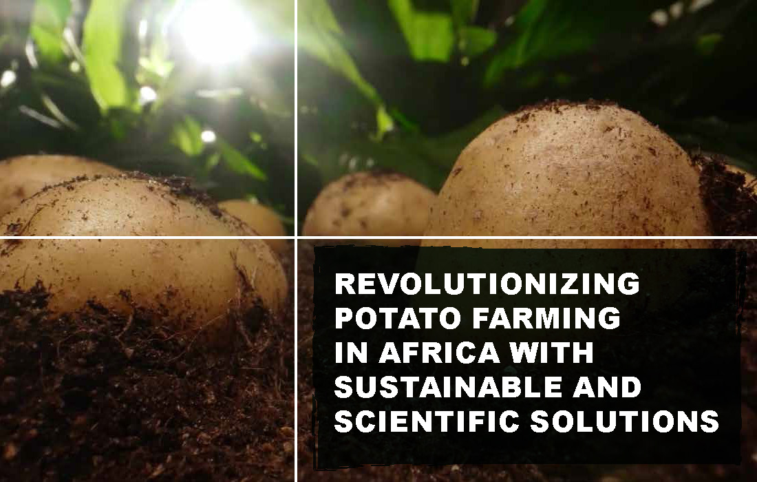 Revolutionizing Potato Farming in Africa with Sustainable and Scientific Solutions_Page_02