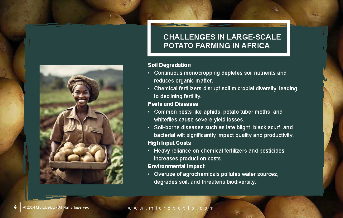 Revolutionizing Potato Farming in Africa with Sustainable and Scientific Solutions_Page_04