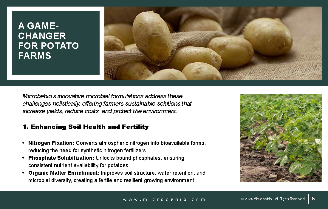 Revolutionizing Potato Farming in Africa with Sustainable and Scientific Solutions_Page_05