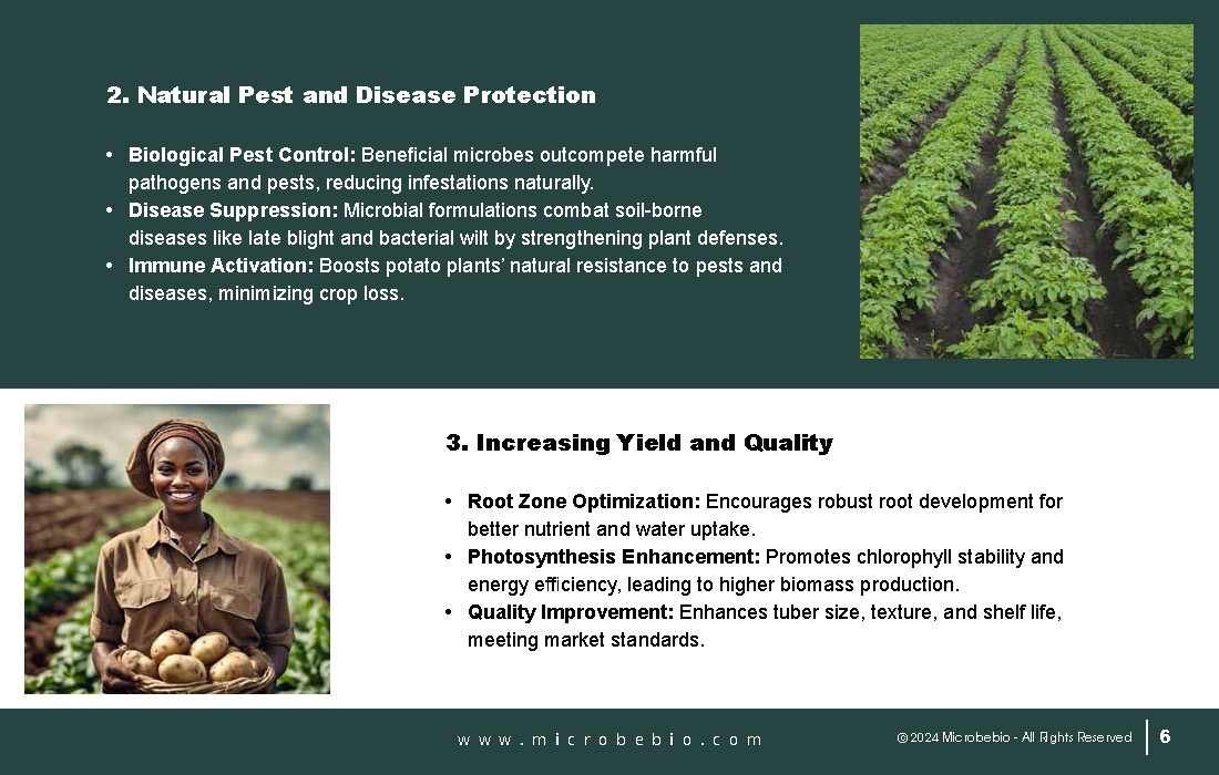 Revolutionizing Potato Farming in Africa with Sustainable and Scientific Solutions_Page_06