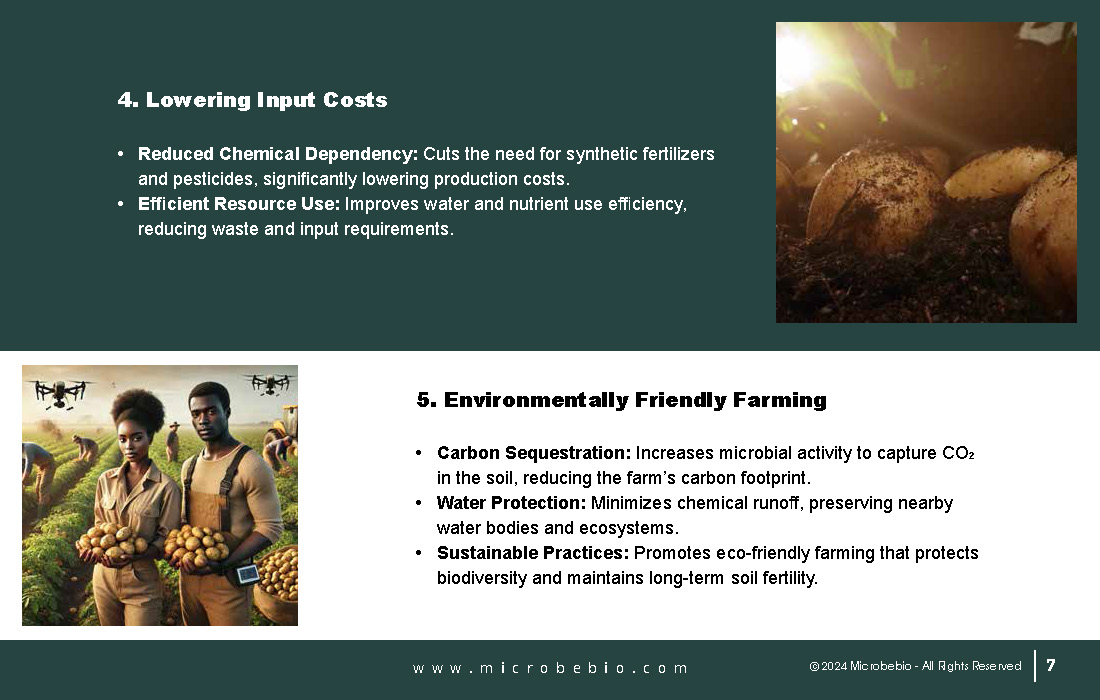 Revolutionizing Potato Farming in Africa with Sustainable and Scientific Solutions_Page_07