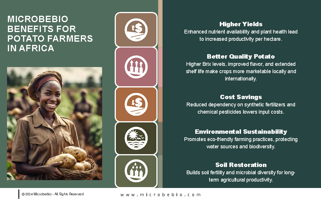 Revolutionizing Potato Farming in Africa with Sustainable and Scientific Solutions_Page_08