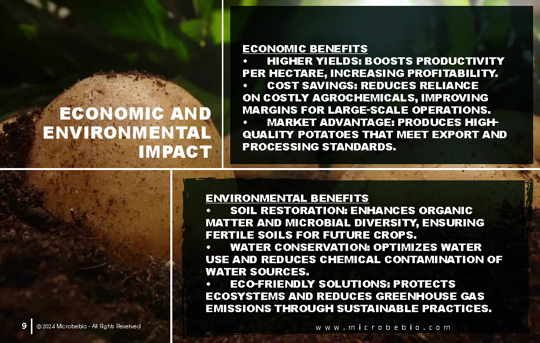Revolutionizing Potato Farming in Africa with Sustainable and Scientific Solutions_Page_09