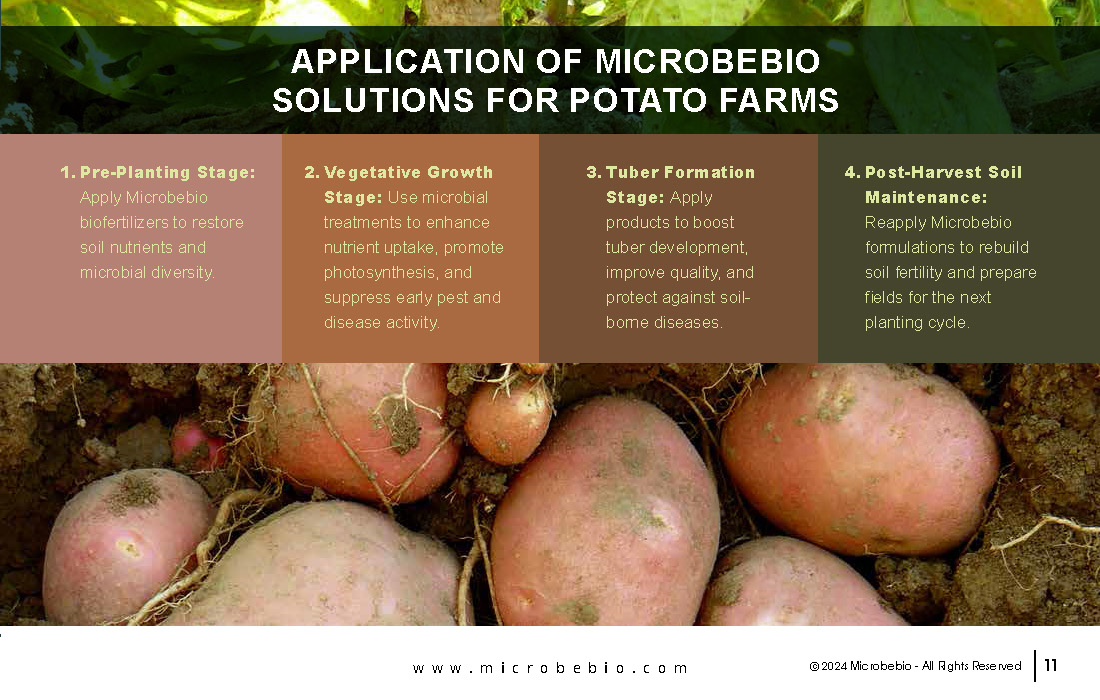 Revolutionizing Potato Farming in Africa with Sustainable and Scientific Solutions_Page_11