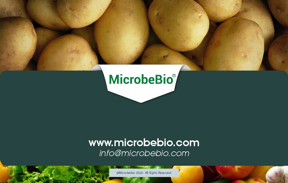 Revolutionizing Potato Farming in Africa with Sustainable and Scientific Solutions_Page_13
