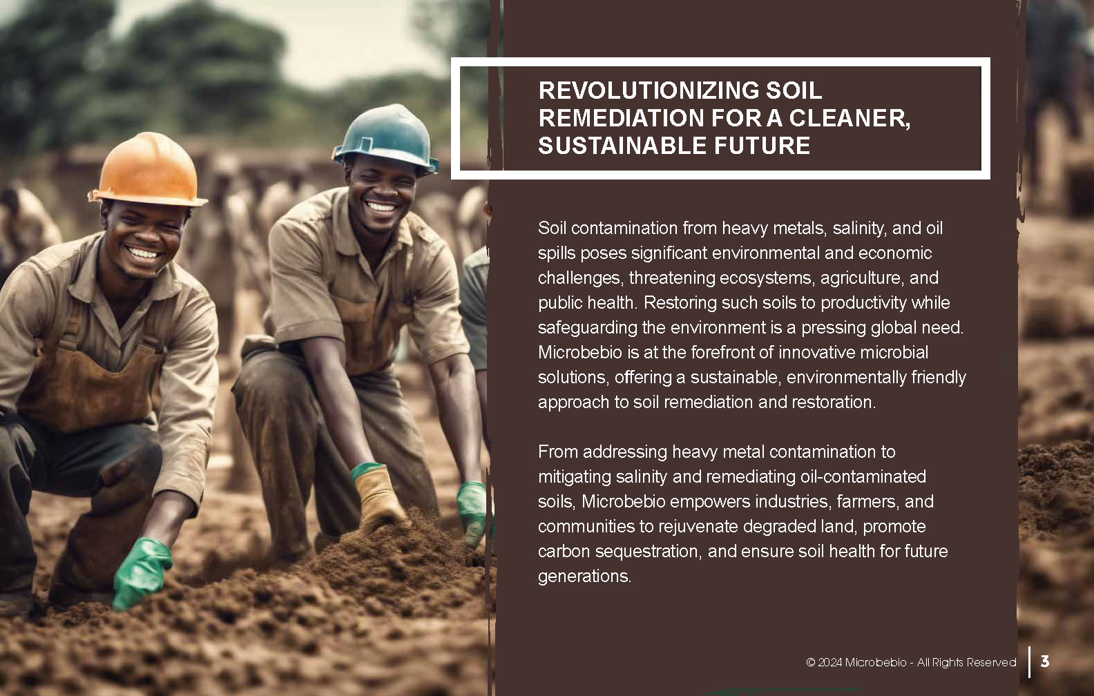 Revolutionizing Soil Remediation for a Cleaner - Sustainable Future_Page_03