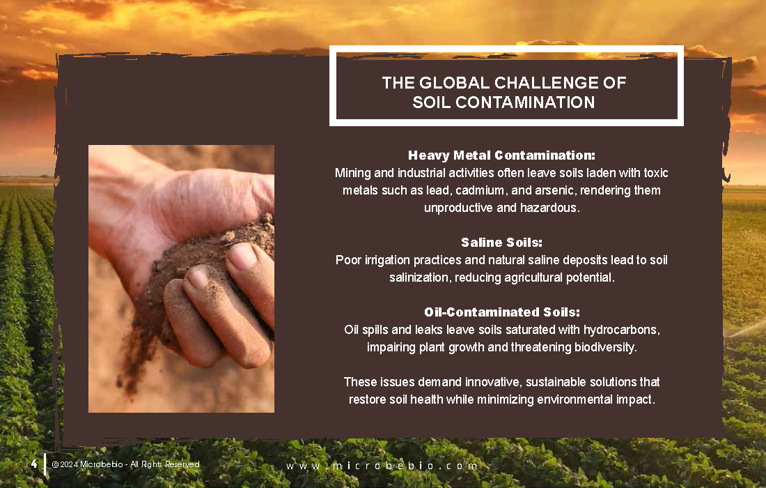 Revolutionizing Soil Remediation for a Cleaner - Sustainable Future_Page_04