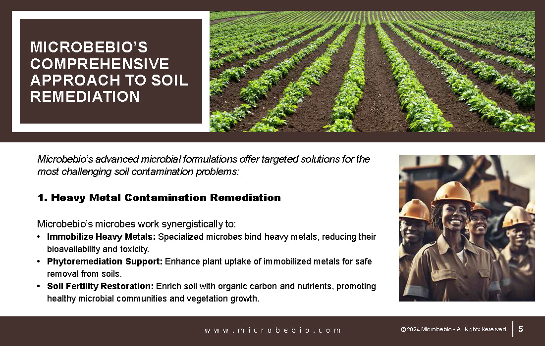 Revolutionizing Soil Remediation for a Cleaner - Sustainable Future_Page_05