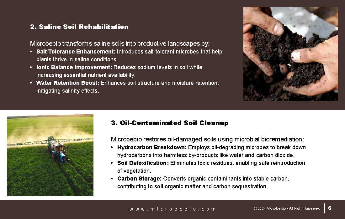 Revolutionizing Soil Remediation for a Cleaner - Sustainable Future_Page_06