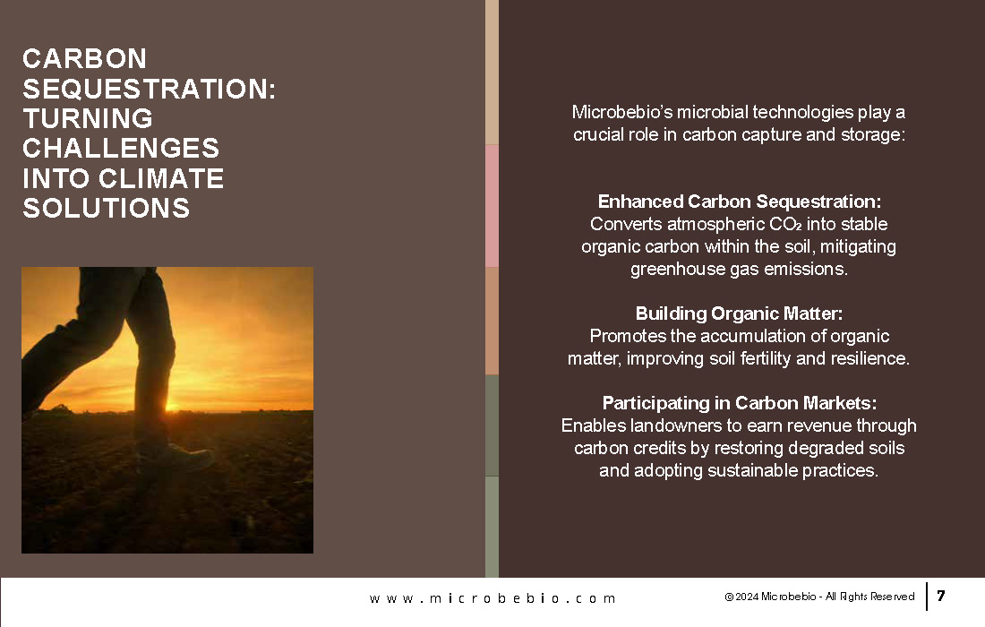Revolutionizing Soil Remediation for a Cleaner - Sustainable Future_Page_07