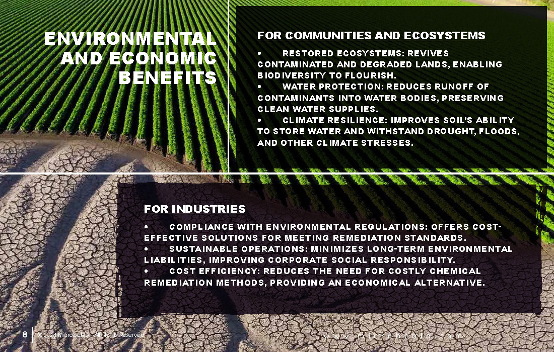Revolutionizing Soil Remediation for a Cleaner - Sustainable Future_Page_08