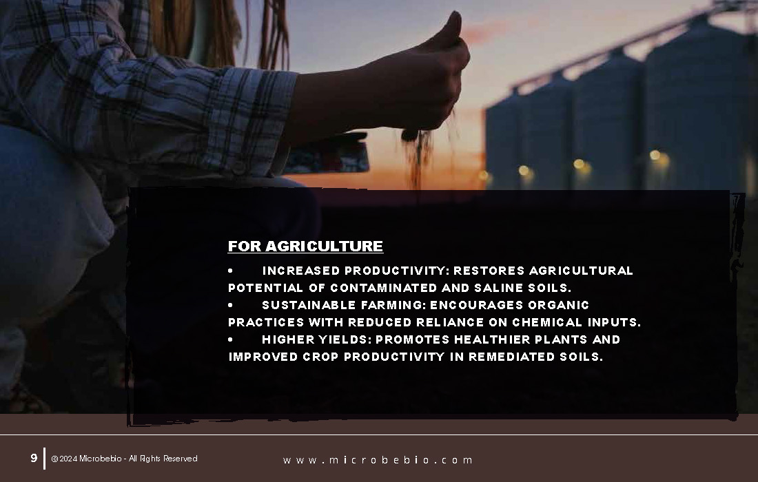 Revolutionizing Soil Remediation for a Cleaner - Sustainable Future_Page_09
