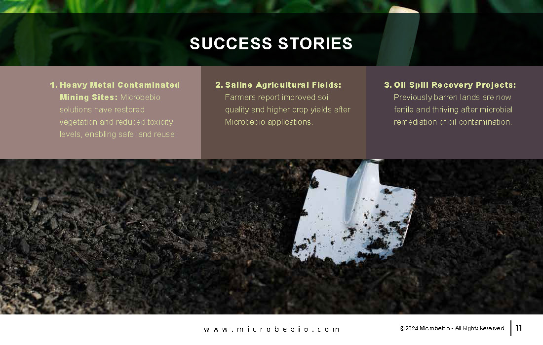 Revolutionizing Soil Remediation for a Cleaner - Sustainable Future_Page_11
