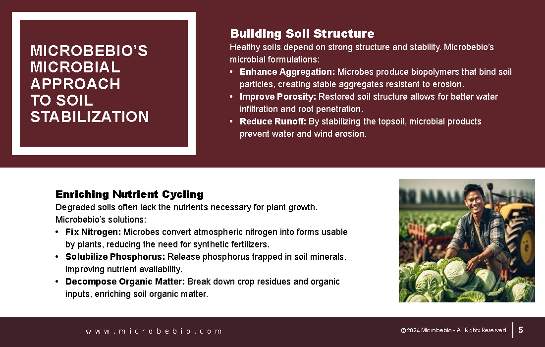 Stabilizing Soils and Combating Desertification Through Microbial Innovations_Page_05