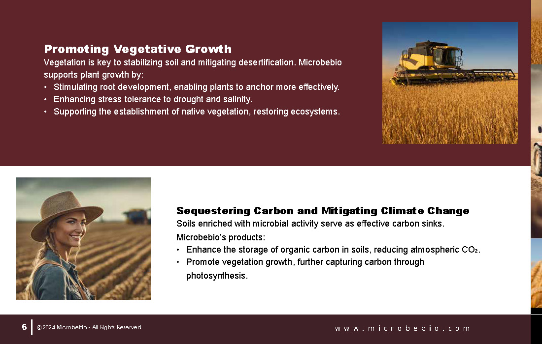 Stabilizing Soils and Combating Desertification Through Microbial Innovations_Page_06