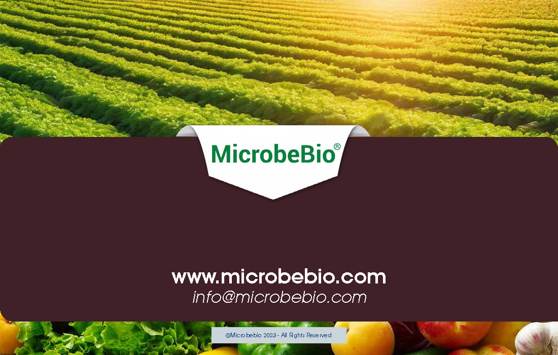 Stabilizing Soils and Combating Desertification Through Microbial Innovations_Page_10