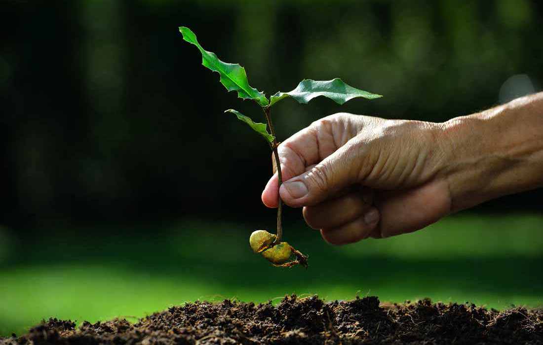 Transforming Agriculture with Microbebio_Page_02