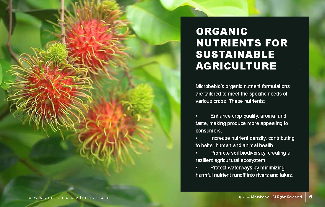 Transforming Agriculture with Microbebio_Page_06