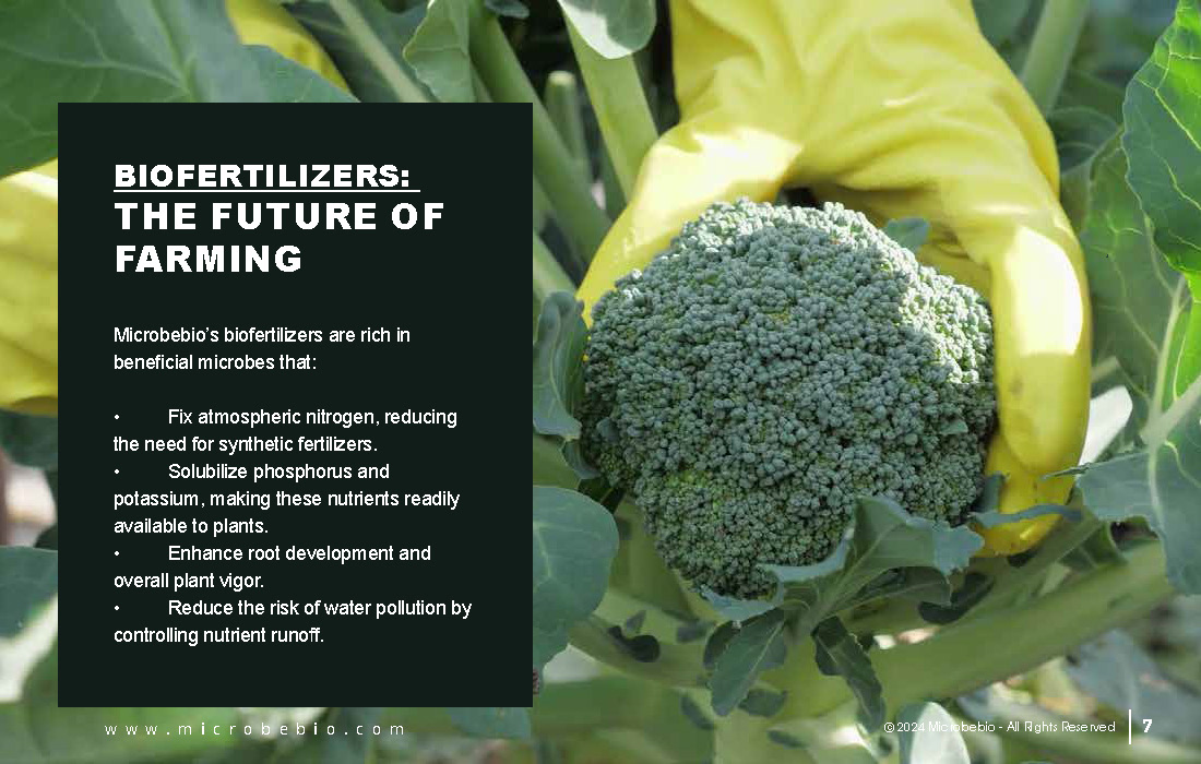 Transforming Agriculture with Microbebio_Page_07
