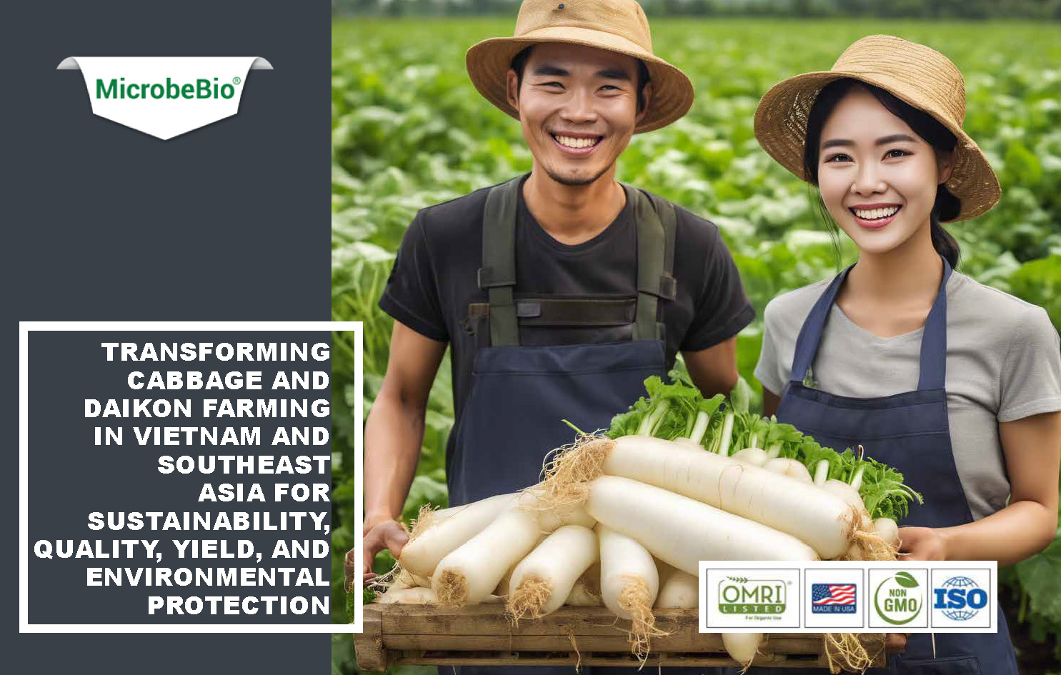 Transforming Cabbage and Daikon Farming in Vietnam and Southeast Asia for Sustainability_Page_01