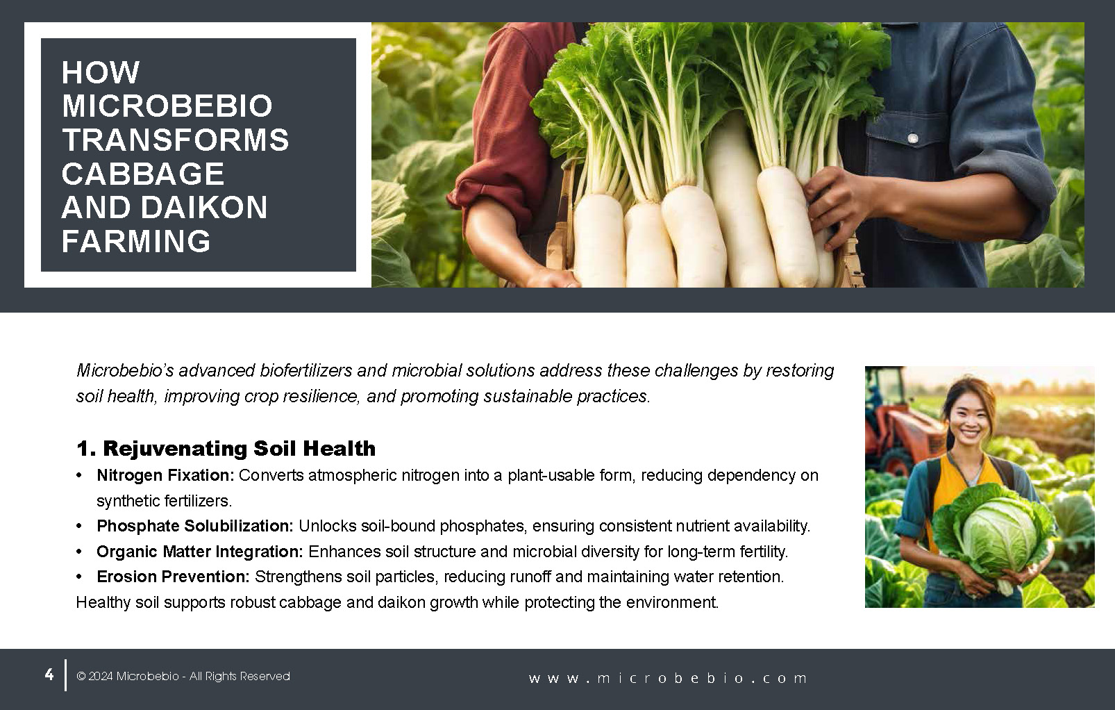 Transforming Cabbage and Daikon Farming in Vietnam and Southeast Asia for Sustainability_Page_04
