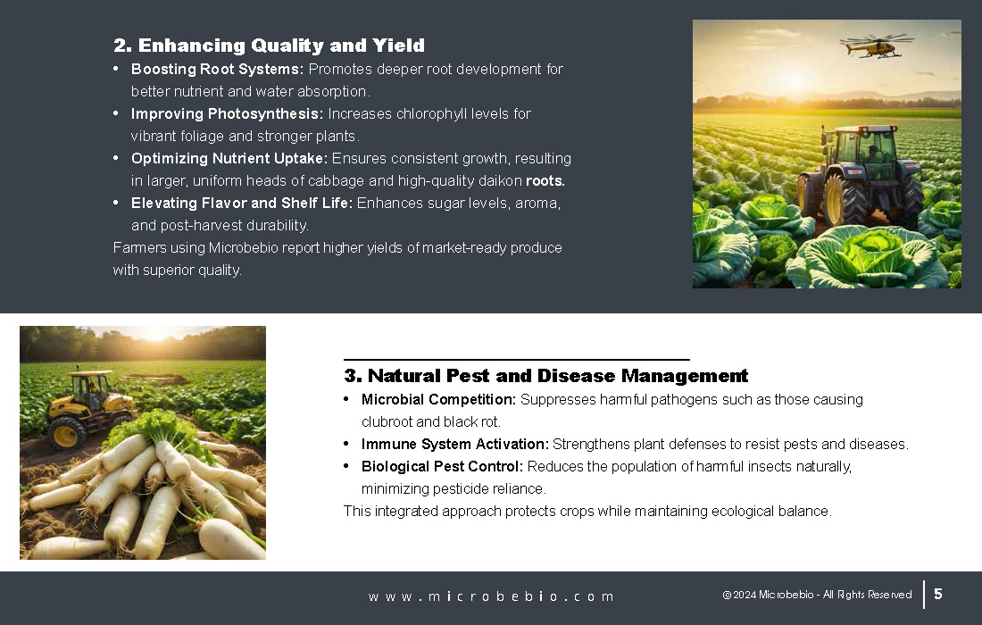 Transforming Cabbage and Daikon Farming in Vietnam and Southeast Asia for Sustainability_Page_05