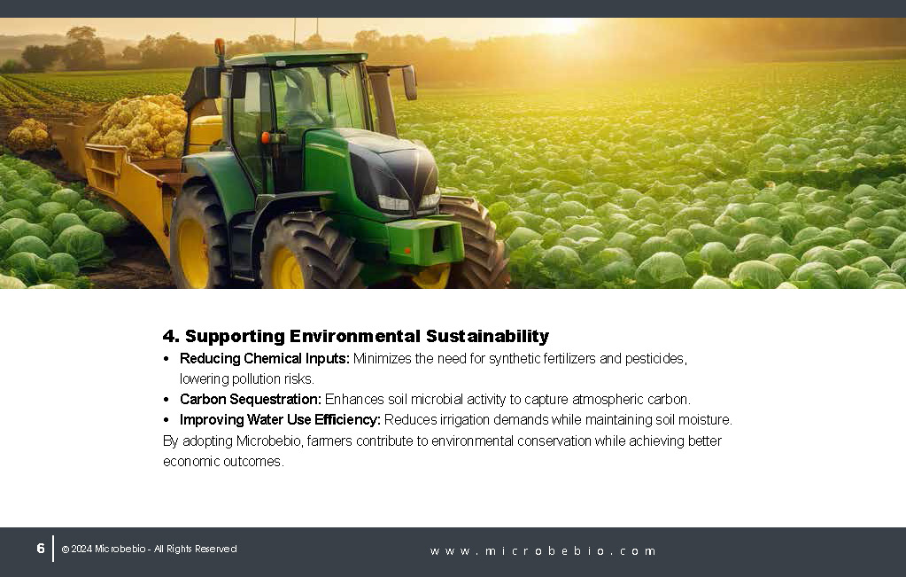 Transforming Cabbage and Daikon Farming in Vietnam and Southeast Asia for Sustainability_Page_06