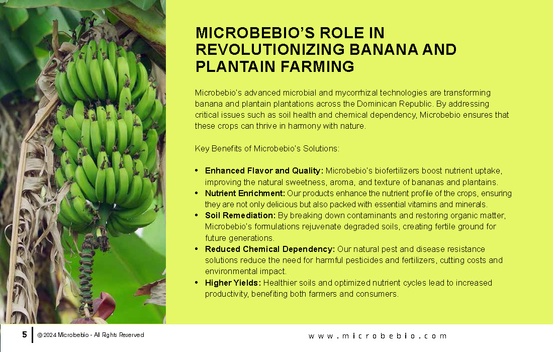 Transforming Dominican Banana and Plantain Plantations_Page_05
