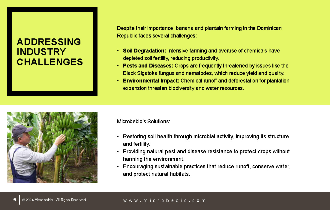 Transforming Dominican Banana and Plantain Plantations_Page_06