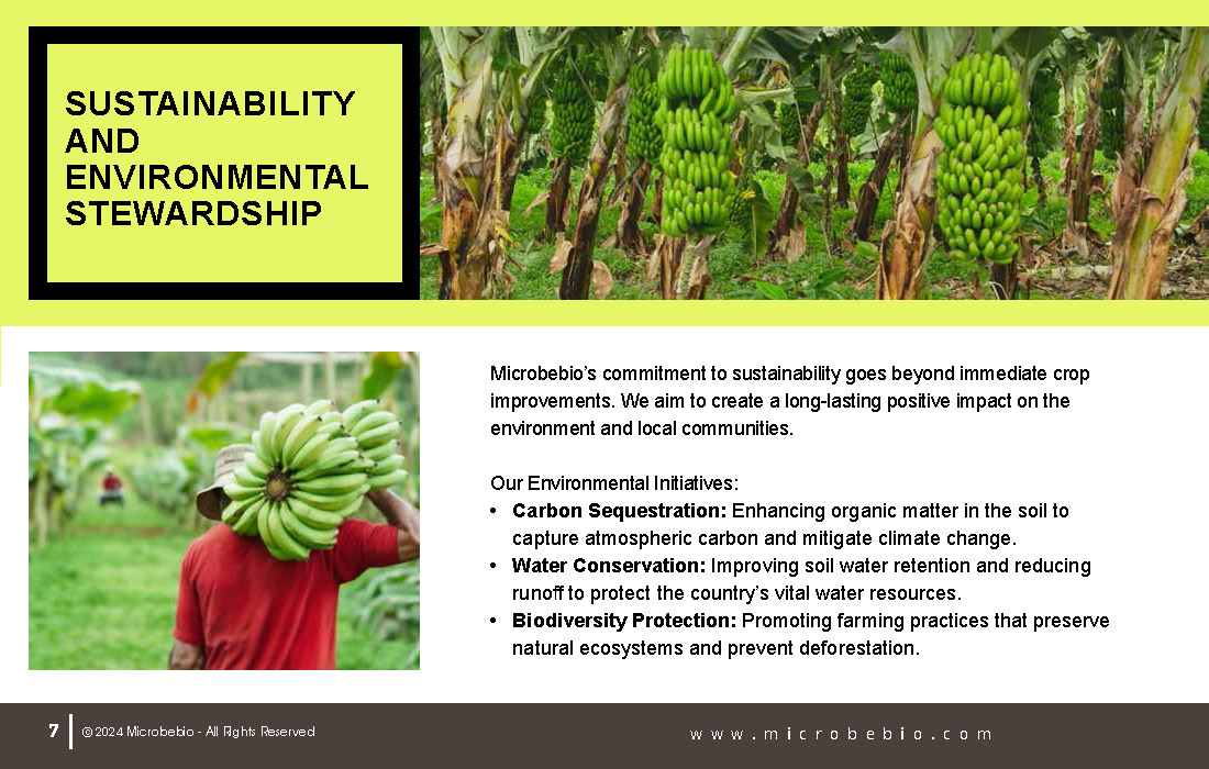Transforming Dominican Banana and Plantain Plantations_Page_07