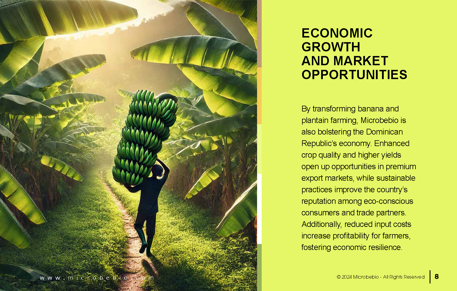 Transforming Dominican Banana and Plantain Plantations_Page_08