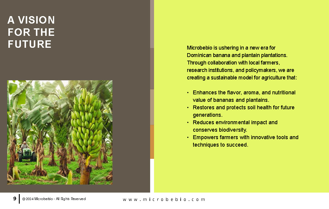 Transforming Dominican Banana and Plantain Plantations_Page_09